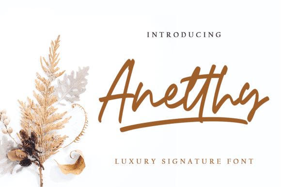 Anetthy: The Handwritten Font That Transformed My Brand Identity
